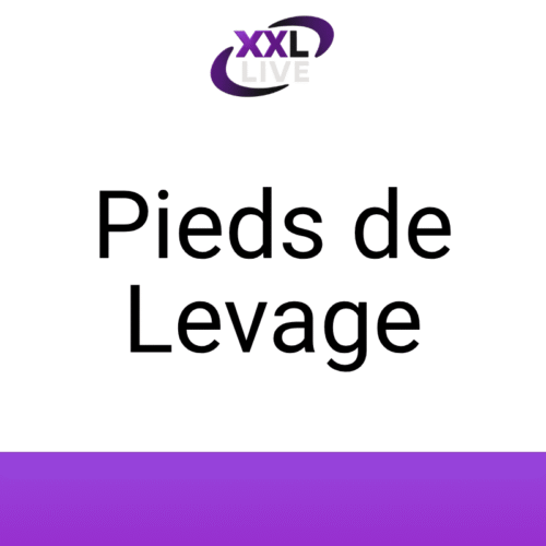 Pieds de Levage